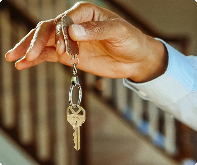 Voor organisaties: overzicht, controle en efficiëntie